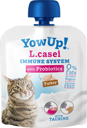 YowUp! Jogurtas L.Casei Immune System 85g YowUp! Jogurtas L.Casei Immune System 85g