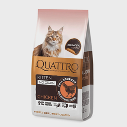 Quattro Kitten Chicken Collagen sausas maistas kačiukams, papildytas kolagenu 7kg