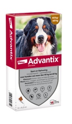 Lašai prieš Erkes Šunims ADVANTIX  40-60kg  4vnt. pakuotė