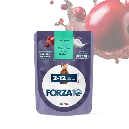 FORZA10 Maintenance Kitten konservai kačiukams ir katėms 2-12 mėn. su triušiena 80g