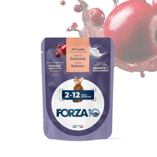FORZA10 Maintenance Kitten konservai kačiukams ir katėms 2-12 mėn. su lašiša 80g