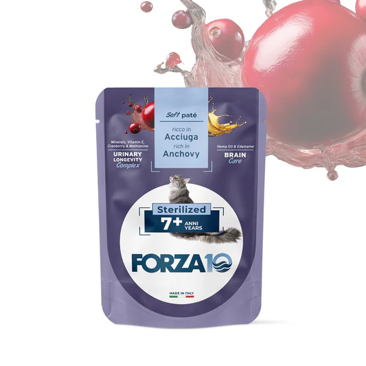 FORZA10 Maintenance Adult konservai sterilizuotoms katėms 7+ metų su ančiuviais 80g