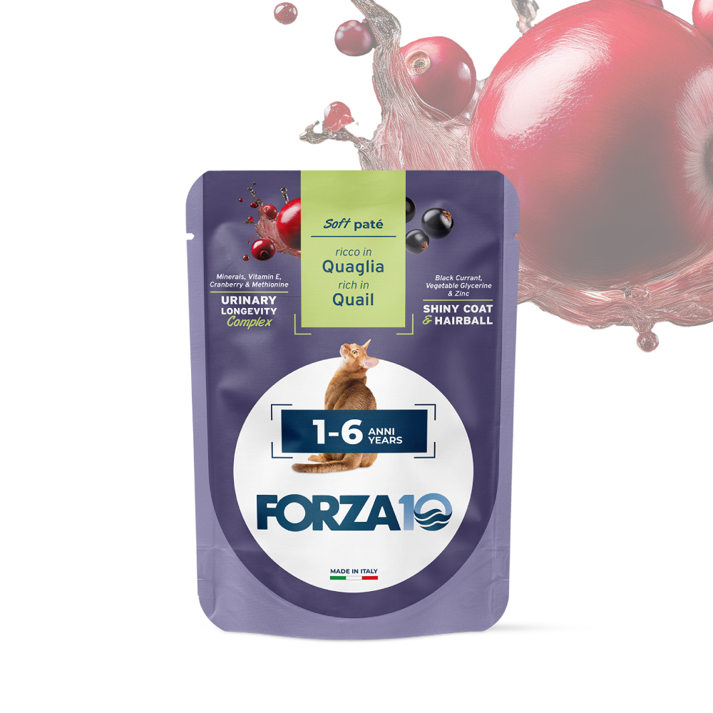 FORZA10 Maintenance Adult konservai nesterilizuotoms katėms 1-6 metų su putpelių mėsa 80g